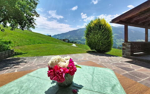Ferienhaus Dinkl: Bergforms, Natürliche Landschaft, Hügel, Berg, Landschaft, Wiese, Hochland, Grundstueck, Bergstation, Ground