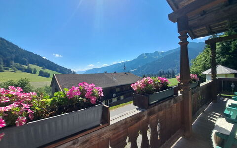 Grub: Gebirge, Balkon, Blumentopf, Zimmerpflanze, Floristik, Eco Hotel, Alpen, Bergdorf