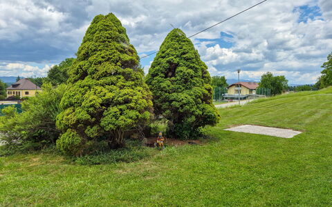 Haus Valentin: Blatt, Strauch, Garten, Ground, Gehölz, Landscaping, Rasen, Botanischer Garten, Immergrün
