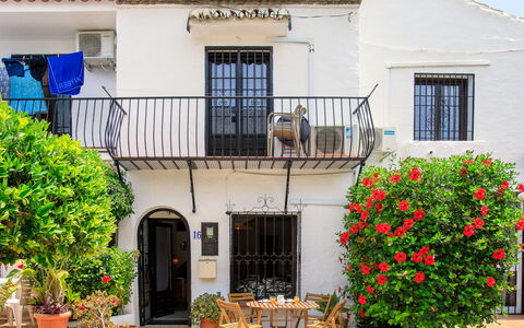 Carmen: Blumentopf, Tür, Balkon, Zimmerpflanze, Hazienda, Hof