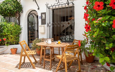 Carmen: Möbel, Blumentopf, Gartenmöbel, Stuhl, Tabelle, Tür, Zimmerpflanze, Tisch Im Freien, Veranda