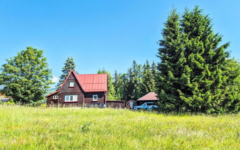 Golden View: Baum, Gras, Grün, Haus, Hütte, Zuhause, Grundstueck, Ländliches Gebiet, Landschaft
