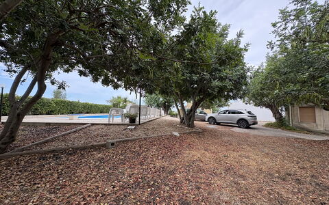 Casale Nardi: Baum, Blatt, Ast, Strassenbelag, Schatten, Gehölz, Sonnenlicht, Auffahrt, Boden, Landscaping