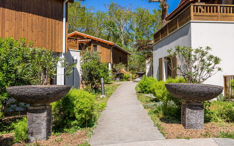 Lacanau 679: Strauch, Garten, Frühling, Landscaping, Hütte, Hinterhof, Schatten, Estate, Garten