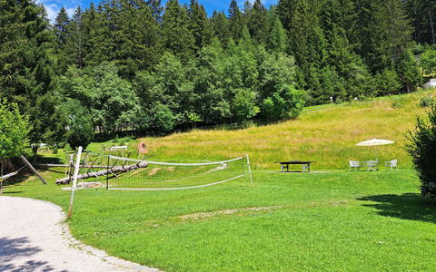 Grafenast: Baum, Lärche, Garten, Park, Rasen, Außenbank, Landscaping, Immergrün