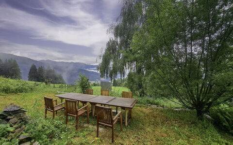 Grafenast: Natürliche Landschaft, Wald, Bergstation, Lärche, Senke, Garten, Landscaping, Immergrün