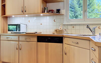 Unterkunft:&nbsp;Chalet Chaudoudoux - les Paccots 603.2