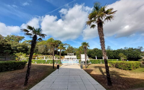 Confort, Piscine et Plage: Baum, Strauch, Öffentlicher Raum, Garten, Gehölz, Walkway, Landscaping, Schatten, Park