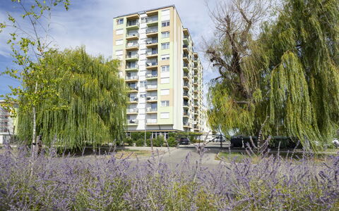 Silver: Daytime, Gebäude, Wohnung, Wohngebiet, Stadt, Stadtgebiet, Nachbarschaft, Fassade, Eigentumswohnung