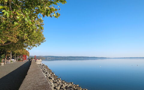 Lago di Vico 629: Blau, Wasser, Gewässer, Küsten Und Ozeanische Forms, Bank, Küste, Meer, See, Ufer, Morgen