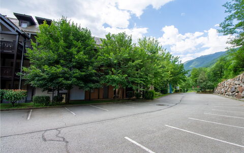 Ax-Les-Thermes 645: Baum, Strassenbelag, Ast, Asphalt, Auffahrt, Parkplatz