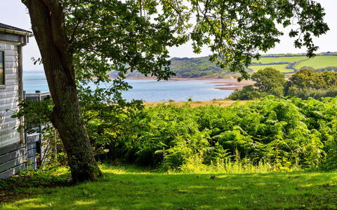 Seascape: Grün, Natur, Natürliche Landschaft, Vegetation, Sommer, Strauch, Landschaft, Wiese, Pflanzengemeinschaft