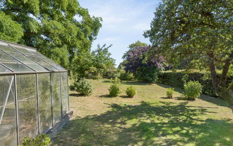Helge - 10Km from the Sea: Baum, Vegetation, Strauch, Garten, Landschaft, Pflanzengemeinschaft, Grundstueck, Ground, Rasen