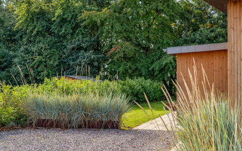Constance - 900M from the Sea: Gras, Strauch, Garten, Pflanzengemeinschaft, Ground, Landscaping, Hinterhof, Krautige Pflanze, Rasen