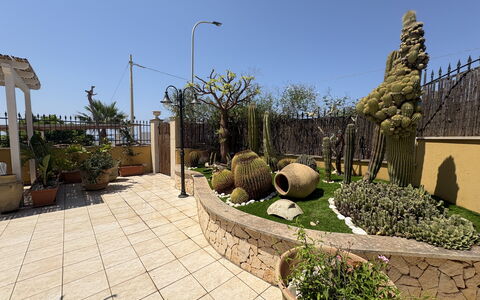 Villa Magda: Blumentopf, Garten, Landscaping, Flagstone, Zimmerpflanze, Hof, Garten, Schatten, Walkway