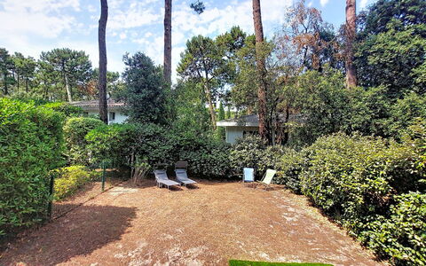 Beau Séjour: Strauch, Garten, Ground, Schatten, Rasen, Hinterhof, Landscaping, Hecke, Garten, Auffahrt