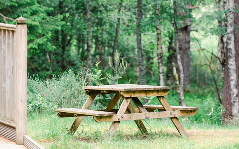 Unterkunft:&nbsp;Capercaillie Cabin 100.3