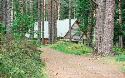 Unterkunft:&nbsp;Capercaillie Cabin 100.3