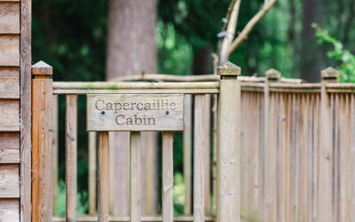 Unterkunft:&nbsp;Capercaillie Cabin 100.3