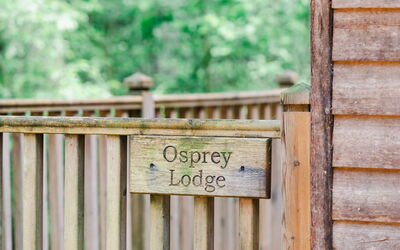 Unterkunft:&nbsp;Osprey Lodge 100.4