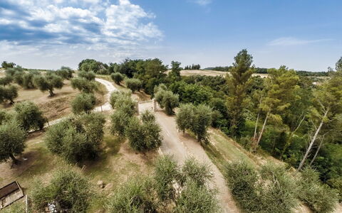 Villa Larino: Baum, Vegetation, Natürliche Landschaft, Pflanzengemeinschaft, Grundstueck, Einfach, Weg, Feld, Boden
