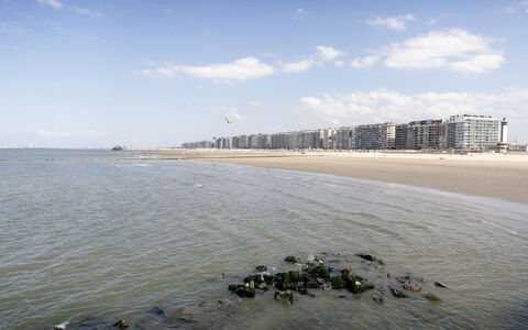 Centrally Located Sea You Again: Daytime, Wasser, Horizont, Küste, Meer, Strand, Landschaft, Küsten Und Ozeanische Forms, Ufer, Ozean
