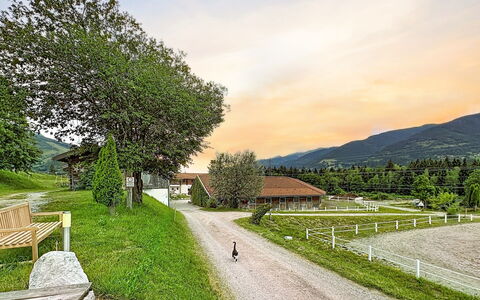 Kaprun 614: Bergforms, Gras, Hügel, Berg, Landschaft, Ländliches Gebiet, Hochland, Gebirge, Grundstueck, Einfach