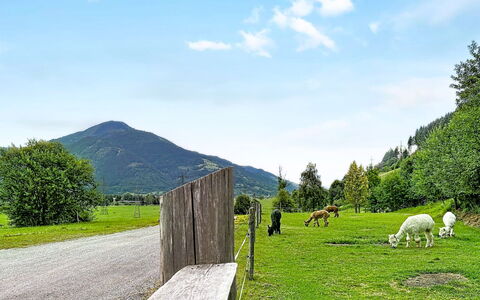 Kaprun 614: Bergforms, Gras, Grün, Hügel, Berg, Wiese, Natürliche Landschaft, Hochland, Landschaft, Weide