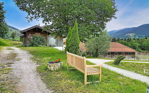 Kaprun 614: Gras, Haus, Ländliches Gebiet, Landschaft, Strauch, Grundstueck, Hütte, Frühling, Ground