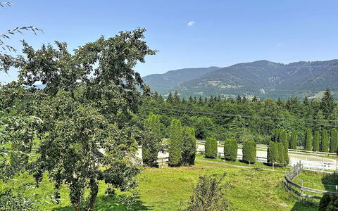 Kaprun 614: Natürlichen Umgebung, Strauch, Hochland, Bergstation, Garten, Gebirge, Senke, Plantage, Weide, Immergrün
