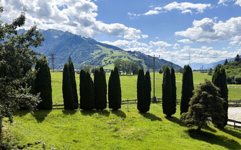 Kaprun 614: Bergforms, Grün, Baum, Natürlichen Umgebung, Natur, Gras, Hügel, Natürliche Landschaft, Hochland, Berg