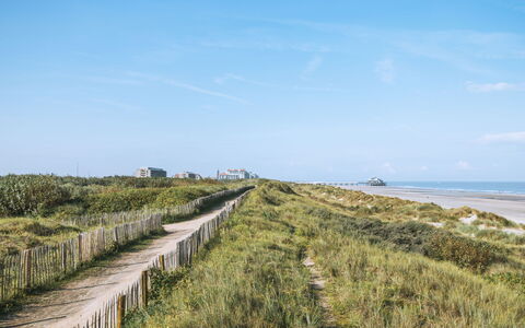 Zeewind Close to the Beach: Möbel, Interior Design, Flooring, Fussboden, Tabelle, Holz, Decke, Stuhl, Zimmer, Couch