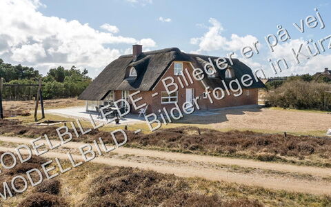 Eufemia - 2.8Km from the Sea: Möbel, Interior Design, Flooring, Fussboden, Tabelle, Holz, Decke, Stuhl, Zimmer, Couch