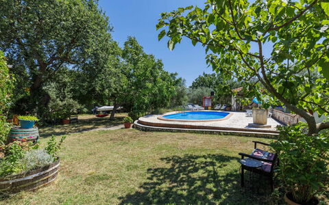 Helena: Baum, Garten, Schatten, Rasen, Landscaping, Hinterhof, Garten, Estate, Park, Hazienda