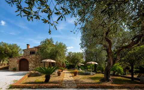 Casale delle Lupe, Campiglia Marittima: Garten, Estate, Hazienda, Landscaping, Bauernhaus, Garten, Villa, Schatten, Hinterhof, Auffahrt