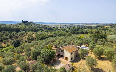 Casale delle Lupe, Campiglia Marittima: Baum, Gras, Natürliche Landschaft, Landschaft, Ländliches Gebiet, Wiese, Grundstueck, Einfach, Pflanzengemeinschaft