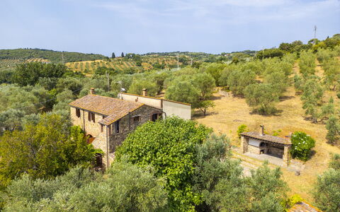 Casale delle Lupe, Campiglia Marittima: Gras, Baum, Strauch, Ländliches Gebiet, Pflanzengemeinschaft, Grundstueck, Estate, Hütte, Dorf