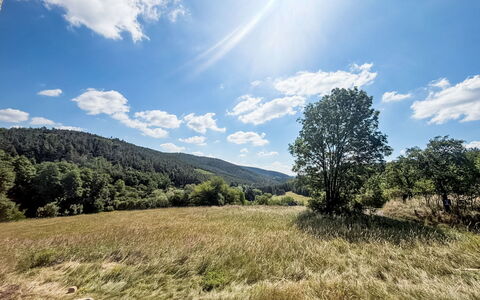 Horní Líšnice: Himmel, Blau, Daytime, Gras, Grün, Natürlichen Umgebung, Natur, Wolke, Natürliche Landschaft, Vegetation