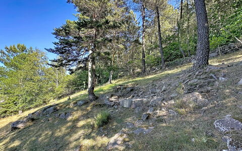 La Bergerie de Portes: Baum, Blatt, Vegetation, Wildnis, Pflanzengemeinschaft, Wald, Geologie, Naturschutzgebiet, Lärche
