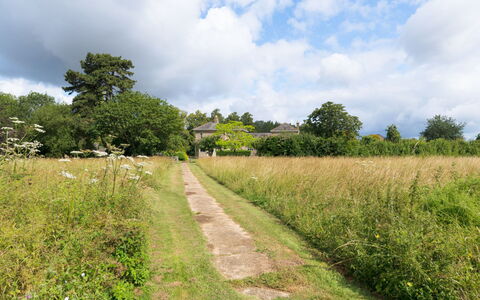Walltree House: Gras, Baum, Grün, Vegetation, Wiese, Natürliche Landschaft, Strauch, Sommer, Einfach