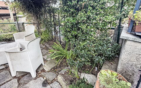 Colazza 100: Strauch, Blumentopf, Garten, Zimmerpflanze, Zaun, Kraut