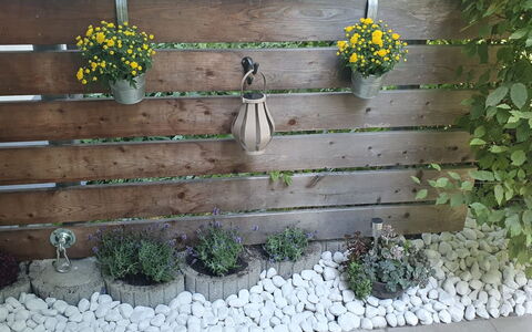 Bergzeit: Blumentopf, Garten, Zimmerpflanze, Planke, Floristik, Zaun, Home Fechten, Hinterhof, Hartholz, Kraut