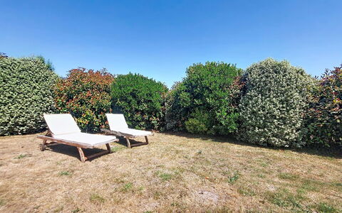 Bois et Lumière: Grün, Blatt, Strauch, Garten, Grundstueck, Ground, Hecke, Rasen, Schatten