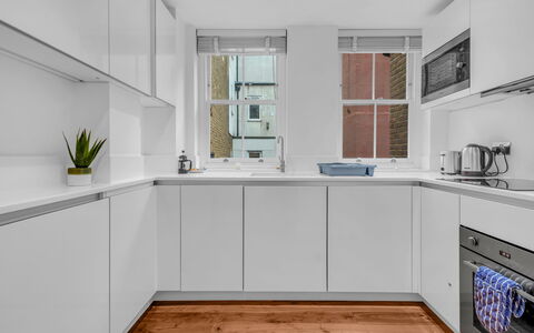 Spitafields Apartment: Strauch, Garten, Wohngebiet, Pflanzengemeinschaft, Grundstueck, Ground, Landscaping, Hinterhof, Garten