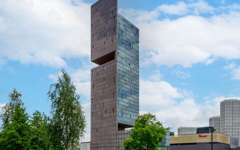 Stratford Loft: Strauch, Garten, Wohngebiet, Pflanzengemeinschaft, Grundstueck, Ground, Landscaping, Hinterhof, Garten
