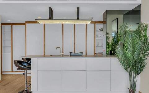 Stratford Loft: Strauch, Garten, Wohngebiet, Pflanzengemeinschaft, Grundstueck, Ground, Landscaping, Hinterhof, Garten