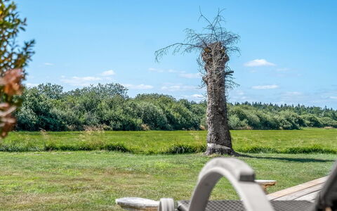 Tameran - from the Sea: Himmel, Blau, Gras, Grün, Natürliche Landschaft, Wiese, Einfach, Wolke, Landschaft