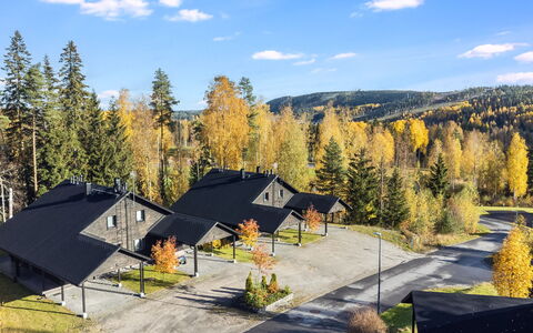 Golfarinkunnas 6B: Baum, Haus, Hütte, Zuhause, Dach, Lärche, Abstellgleis, Blockhaus, Wald, Winter