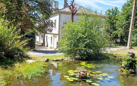 Pizarra: Strauch, Wasserlauf, Reflexion, Teich, Garten, Estate, Auwald