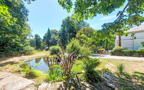 Pizarra: Vegetation, Strauch, Garten, Ground, Sonnenlicht, Gehölz, Teich, Schatten, Landscaping, Botanischer Garten
